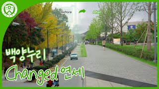 [Changed 연세] 확 달라진 연세 백양로🍀 같이 구경갈래요?