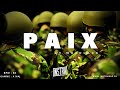 [FREE] Old School Boom Bap Type Beat "PAIX" | Sad Hip Hop Rap Instrumental | Weedlack