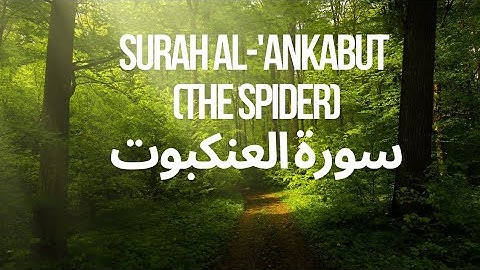 Surah Al-'Ankabut (The Spider) سورة العنكبوت by Sheikh Abdur-Rahman As-Sudais' on @QuranAlhakeem12