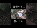 おろちんゆーさん、それ危ないって