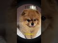 I hope we can be best friends one day