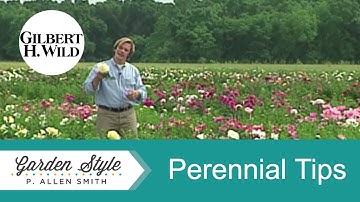 Tips for Growing Perennials | Garden Style (201)