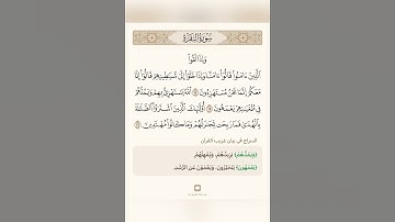 السراج في بيان غريب القران سورة البقرة مع تلاوة الشيخ  بدر التركي