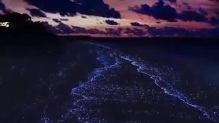 حالات وتس اب حزينة رائعه جدا مع موسيق تركية حزينه جميل على شاطئ البحر ليلا