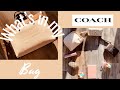 What's in my Coach Bag 2021 | + Everyday Essentials and Organization