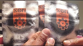 BOLO RUNTZ BY NEZ + FULL REVIEW