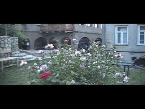 ,,ხოხბები''