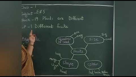Date: 08-02-2021 Class: 1 Subject : E.V.S Block 19 S1 Different fruits