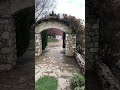 Сакура Станишичи
