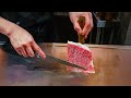 $280 Luxury Wagyu Teppanyaki in Japan