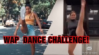 WAP DANCE CHALLENGE! TIKTOK COMPILATION