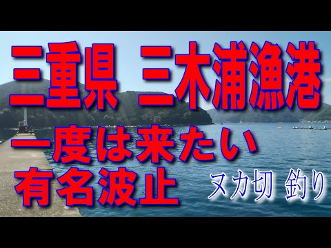 #36三重県三木浦漁港ヌカ切釣り一度は来たい有名波止イカ墨跡多数ファミリー家族連れサビキ釣りに良い車横付け釣り出来ます色々釣れます堤防アジング釣りポイント釣りスポット世界遺産熊野古道始神峠紀北PA