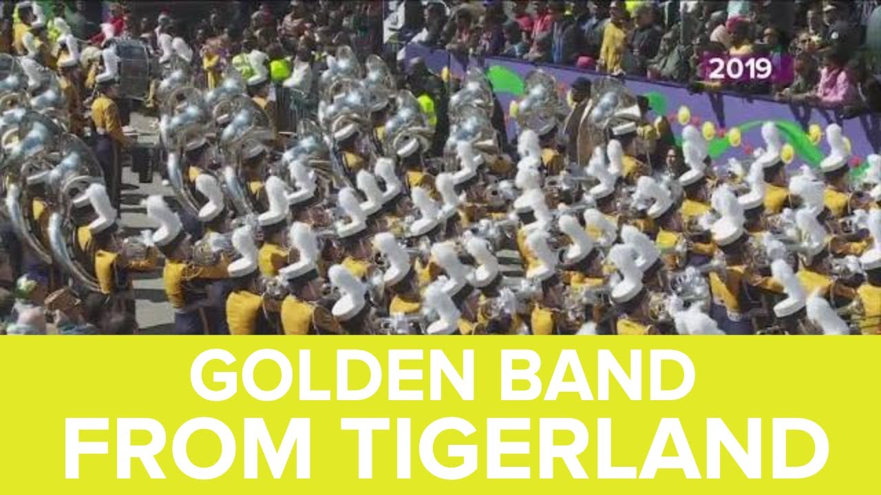 Mardi Gras Memories LSU Golden Band From Tigerland in Zulu 2019