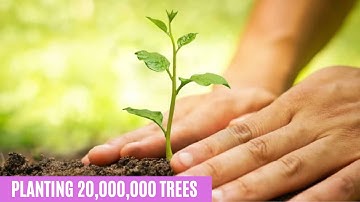 Planting 20,000,000 Trees, can be our Biggest Project Ever!  || Planting a Trillion Trees