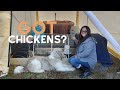 How we built our Chicken Tractor || Our DAILY BANTOR is how we LOVE each other || Family Vlog