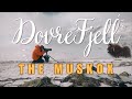 &quot;Encountering the Legendary Muskox of Dovrefjell | Wildlife Photography Adventure&quot;