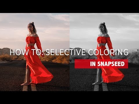 HOW TO: SELECTIVE COLORING (COLOR SPLASH) IN SNAPSEED IN 3 STEPS! (Raptors Inspired)