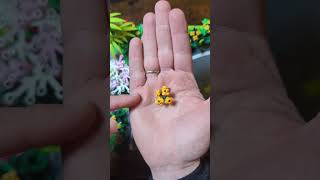 Lego Plant Tutorial (It's MAGIC!)