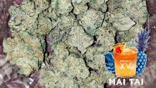 SF Cultivators Mai Tai Mints | Weed Review | DeTraprio