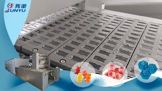 JY80 gummy candy production line gummy candy machine gummy candy making machine jelly candy machine