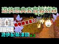 TWRO仙境傳說【遊俠恩典套#.2實戰幻森】插上便宜的卡片，使用便宜的武器，傷害竟然可以高達百萬，令人驚訝的恩典套配裝解密！