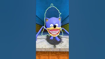 CAN YOU CATCH ALL NEW SONIC TAPES SHIN FAMILY FROM SMALL TO BIG in Garry