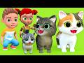 Billi ke Bache | Cat Cartoon | Cat Meowing | Cat | Kittens | Billi | Meow Meow | Cat Videos | Cats