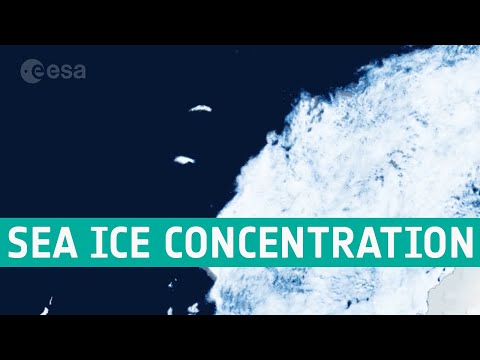 Antarctic sea ice concentration