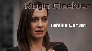 Kırgın Çiçekler - Tehlike Çanları Resimi