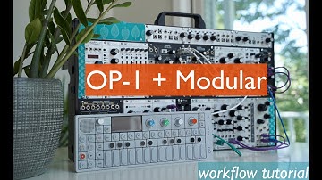 How I Sample Modular with the OP-1 // Eurorack modular samples with OP-1 Lofi Beats