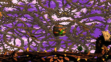 Donkey Kong Country 2 - Avoid Screech
