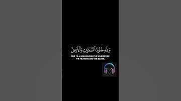 عبد الرحمن مُسعد سورة الفتح : آية 4 ♥️🖤