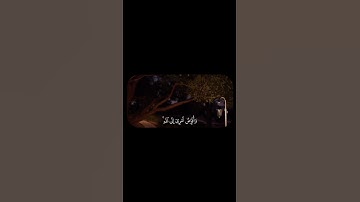 عبدالباسط | سورة غافر - ٤٤