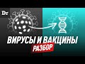 Вирусы и вакцины | РАЗБОР