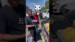 如果你刚来新疆，千万别去赛里木湖赛里木湖 我把新疆拍给你看 新疆是个好地方 带娃旅行 新疆美好推荐官 开启暑假遛娃的主线任务