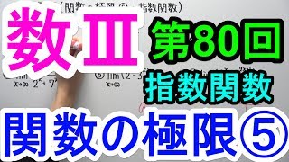 【高校数学】数Ⅲ-80 関数の極限⑤(指数関数)