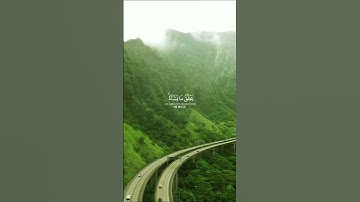 ولله ملك السماوات والأرض||تلاوة خاشعة //بصوت القارئ صالح اليافعي⏱️ثواني تريح الاعصاب 🎧🤍🌿