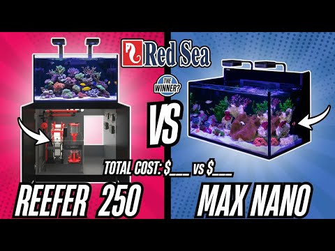 RedSea Max Nano XXL VS RedSea Reefer 250 - YouTube