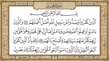 سورة محمد  بصوت الشيخ حسن صالح 047