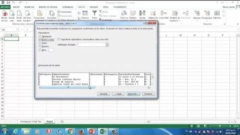 Importar Datos - Archivo de texto a Excel