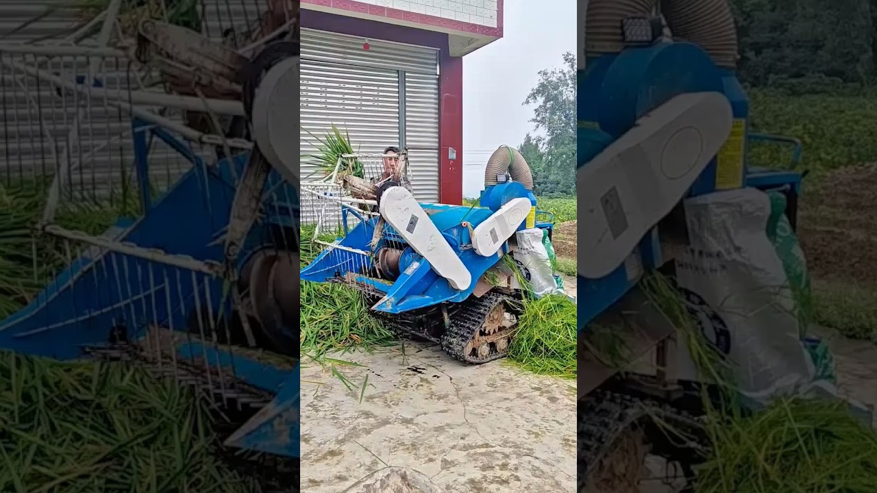 Compact Forage Harvester Cutting and Collecting Green Fodder for Livestock Feed
