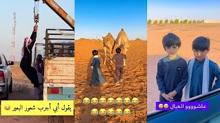 فزعة هيف وفزاع 😎🐪 عبدو جرب شعور البعير