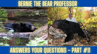 Questions 11 | Wolves and bears, spring bear hunt, climbing stands, which week is best?