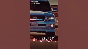 في غيابنا صوت الكلاب 