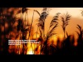 Sergey Alekseev feat. Jane Maximova - Winds of Melody (Bianco Soleil Remix)[PDR037]