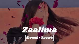 Zaalima | Raees | Shah Rukh Khan \& Mahira Khan | Arijit Singh \& Harshdeep Kaur | JAM8 | Pritam Lofi