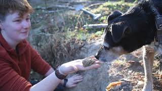 A Visual Journey - Using Wild Clay