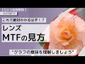 【カメラ技術解説】これで絶対わかるはず！？「レンズMTFの見方」～”グラフの意味を理解しましょう”～