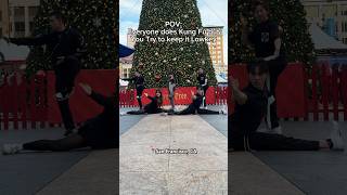 POV: Everyone Does Kung Fu But You Try To Keep It Lowkey… #martialarts #kungfu #wushu