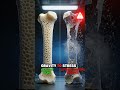 This Ancient Law Makes Your Bones Unbreakable